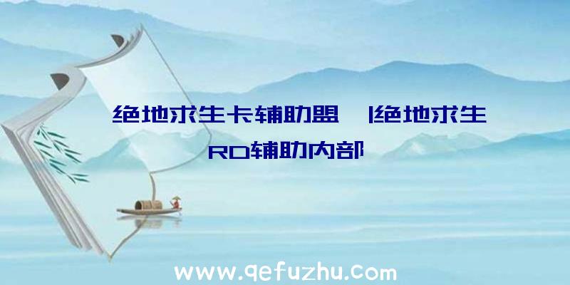 「绝地求生卡辅助盟」|绝地求生RD辅助内部